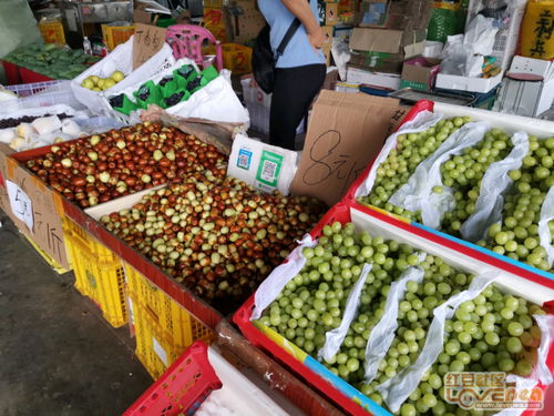 东站农产品批发市场,水果真是贵